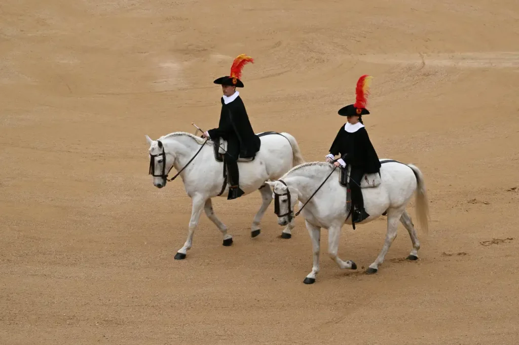 Spanish Riding School Performance Show